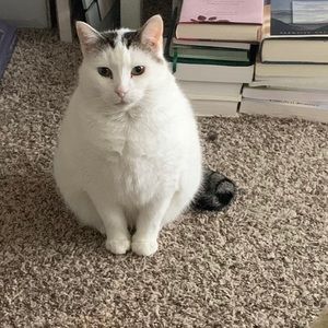 Meet your Posher, Regina